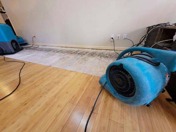 Professional Ceiling Water Damage Repair technician working in Belden, MS